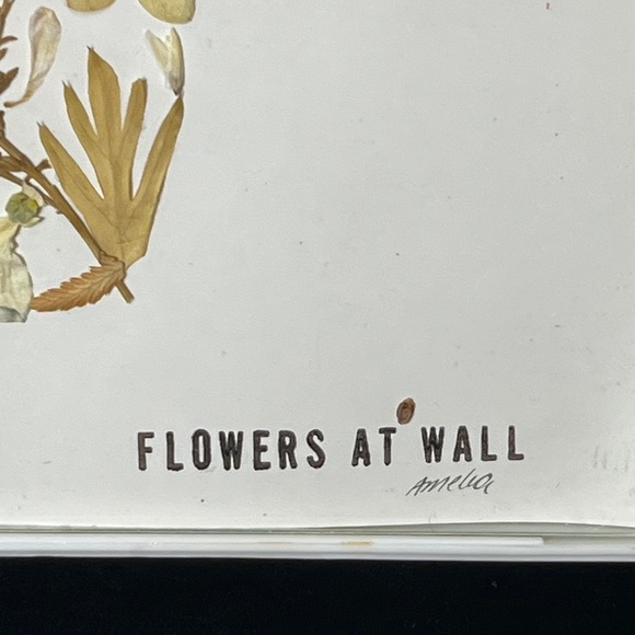 Pressed Dried Flowers Kitty Cat Silhouette Art Framed Flowers at Wall by Amelia - Picture 3 of 4